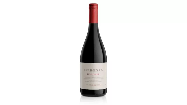 Un Pinot Noir extremo, el mejor de las Américas (según Decanter)