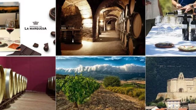 Conviértete en ‘WIP’ en La Rioja Alavesa viviendo las mejores experiencias