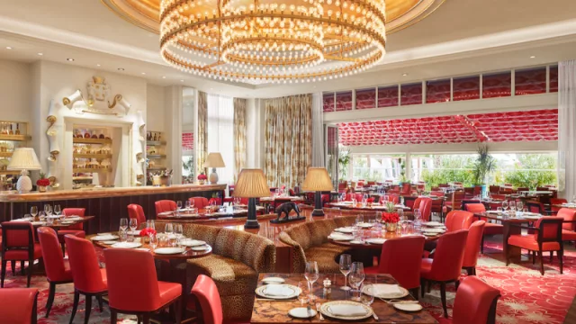 Los 20 mejores restaurantes para disfrutar este verano en Miami (explorando la diversa escena gastronómica de la ciudad)