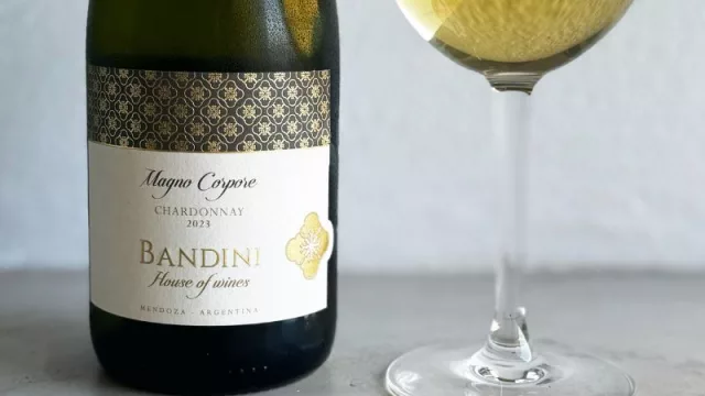 Uno que promete conquistar poco: Finca Bandini lanza su Chardonnay Magno Corpore
