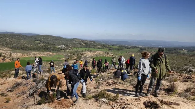Empleados de AstraZeneca reforestan bosques en Sant Martí de Tous, Barcelona
