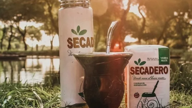 Yerba mate al mundo: el empresario sirio que lidera la exportación desde Misiones (la fórmula del éxito en la economía yerbatera)