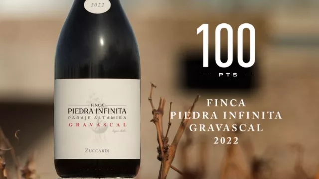El único vino argentino con 100 puntos (según James Suckling) se produce en Mendoza