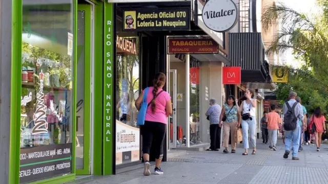 Neuquén consolida su crecimiento comercial con 515 nuevos locales en lo que va del año