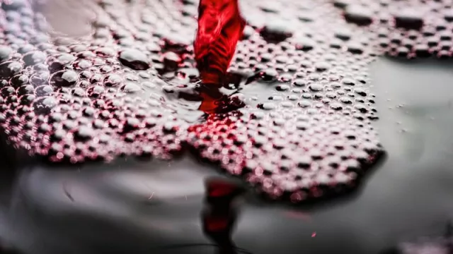 Vinos y música se combinan en una experiencia en Cipolletti