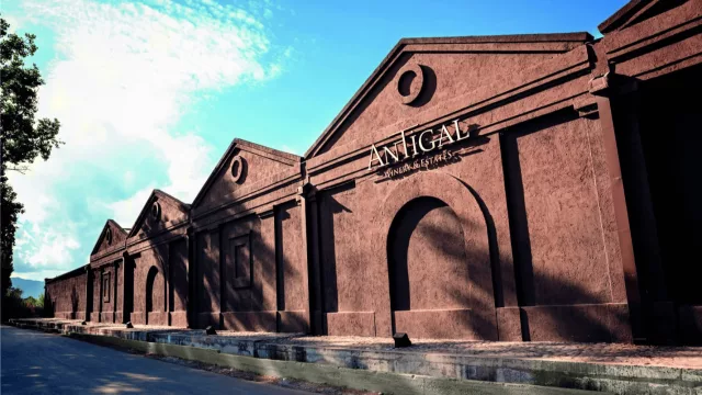 El vino a la conquista de tierras cerveceras (Antigal, la bodega cuyana que rompe dogmas con calidad premium y la intuición joven de su enóloga)