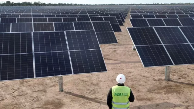 Georgalos amplía su alianza con MSU Green Energy y cubrirá más del 80% de su consumo eléctrico con fuentes renovables