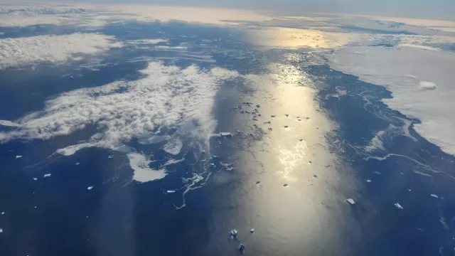 ¿Qué hacen en la Antártida?