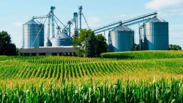 Dos meses seguidos de mejora económica (según la Bolsa, hay para entusiasmarse)