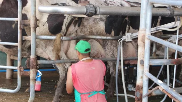 Oro blanco: Santa Fe líder en exportaciones lecheras (a pesar de la crisis de grandes usinas lácteas)