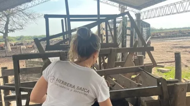 Cuando la ganadería cambia de manos: mujeres al mando de un feedlot que triplicó su escala (crecimiento y profesionalización)