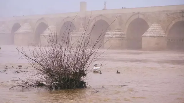 Fundación Mapfre dona 100.000 euros a los afectados por las inundaciones de Andalucía