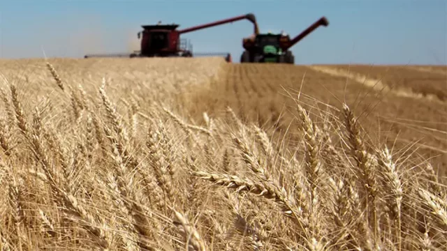 Cambia la matriz exportadora santafesina (para vender más valor agregado)