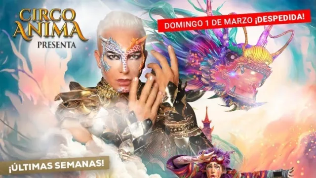 Último fin de semana de Circo Ánima (tras hacer temporada tres meses en Rosario)