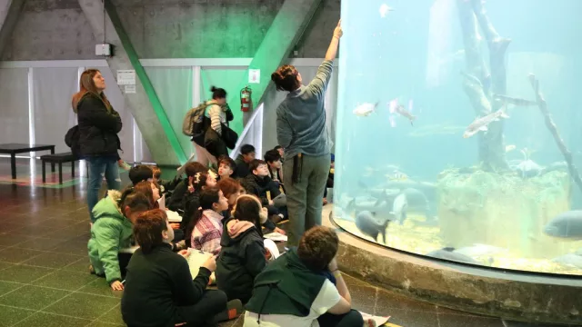 El Acuario del Paraná abre la convocatoria para visitas educativas