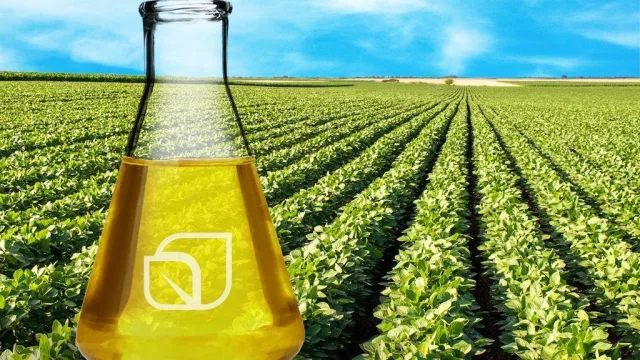 La cadena agropecuaria volvió a crecer en febrero (y alcanzó un nuevo máximo histórico, según la BCR)