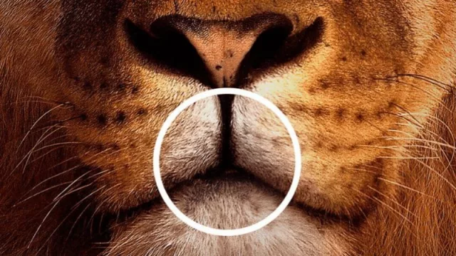 ¿Mercedes estaba adelantado un lustro con esta campaña de OOH (Colombia)? (y su concepto de ecosistema de marca)