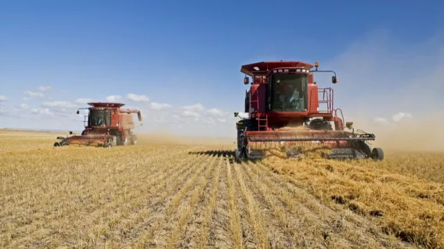 La actividad económica se recuperó en febrero (según los sondeos de la Bolsa de Comercio)