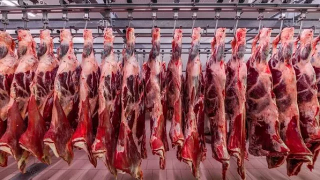 Frigoríficos apuntan al mercado internacional (carne al exterior ante la caída de consumo interno)