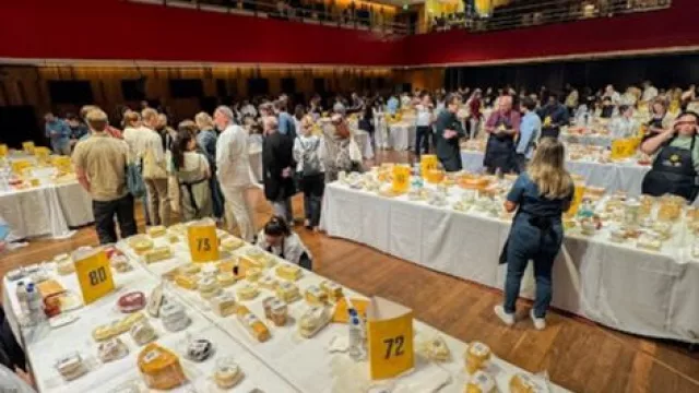 Maestros queseros: 5 variedades santafesinas premiadas en el mundial de quesos de Brasil ("Santa Rosa" se llevó todo)