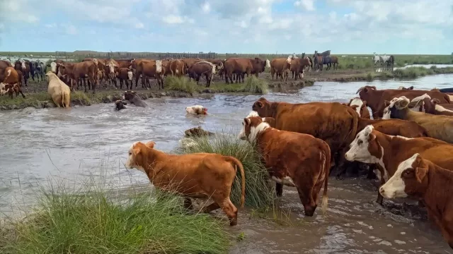 Piden declarar la emergencia en 16 distritos de la provincia (por el desastre de las inundaciones)