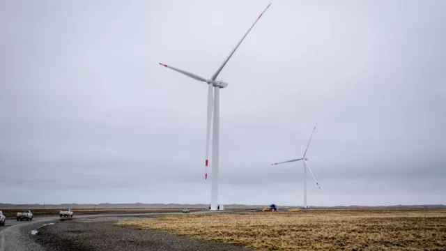 Total inaugura el parque eólico más austral y evalúa nuevas inversiones en Vaca Muerta bajo el RIGI