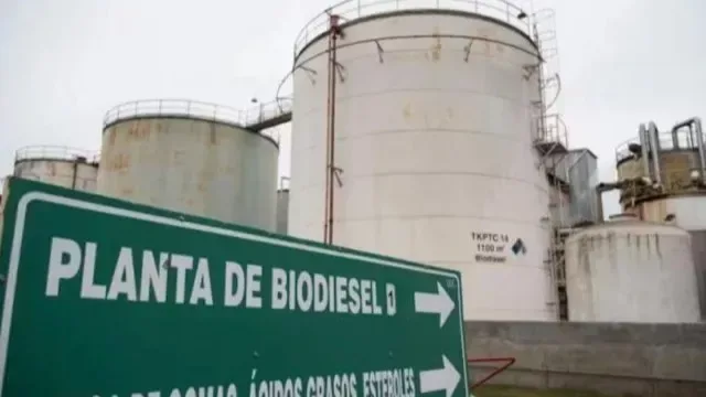 Pullaro: “Defendimos a nuestro campo y a la industria del biodiésel” (tras el respaldo europeo a la soja sustentable)