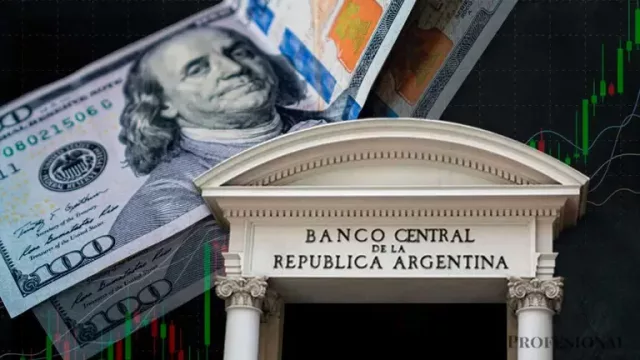 Informe del BCRA estima inflación del 30% y un avance del dólar del 15,5%