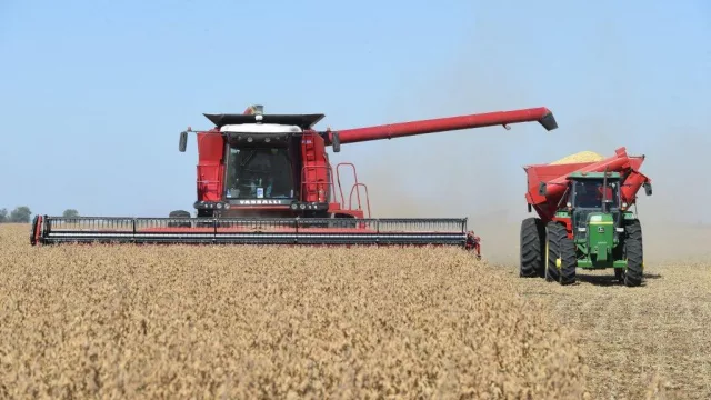 La cosecha récord da impulso la actividad de la cadena agropecuaria (el campo nunca falla en la región Núcleo)