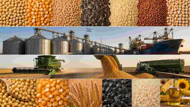 El agro aportaría un récord de US$ 42.200 millones en las exportaciones 2026/27 (el segundo mayor de la historia)