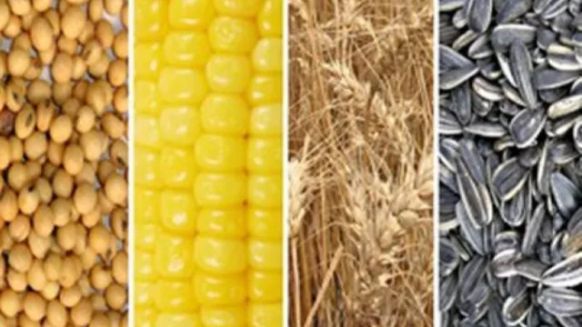 Nuevo máximo de la actividad agropecuaria (impulsada por la producción primaria de granos de una cosecha récord)