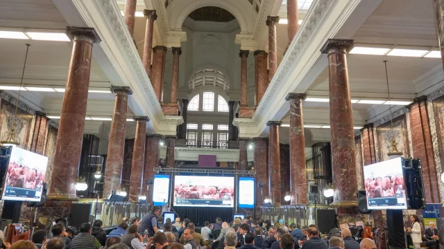 ROSGAN celebró su aniversario con un remate de 15.000 cabezas (con ganado proveniente de nueve provincias)